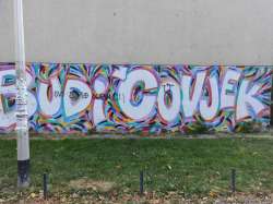 Photo of this report